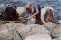 thm_Sommer2003 048.jpg